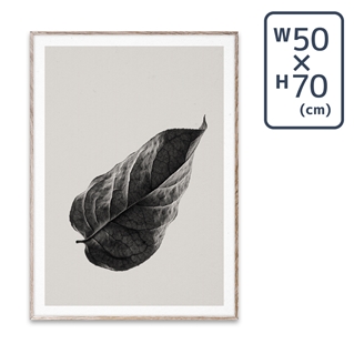 〔PAPER COLLECTIVE〕 ポスターSabi Leaf 01 (50×70)