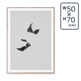 〔PAPER COLLECTIVE〕 ポスターSabi Leaf 02 (50×70)