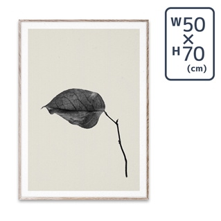 〔PAPER COLLECTIVE〕 ポスターSabi Leaf 03 (50×70)