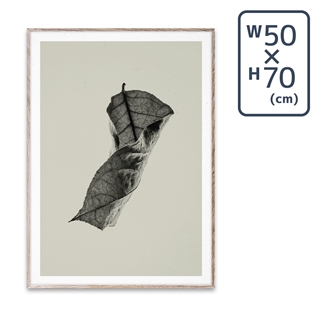 〔PAPER COLLECTIVE〕 ポスターSabi Leaf 04 (50×70)