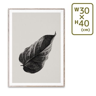 【メーカー取り寄せ】〔PAPER COLLECTIVE〕 ポスターSabi Leaf 01 (30×40)