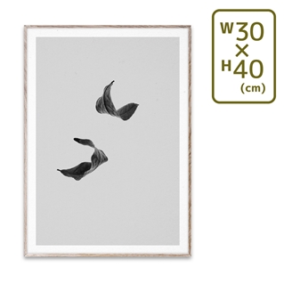 〔PAPER COLLECTIVE〕 ポスターSabi Leaf 02 (30×40)