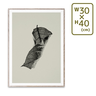 〔PAPER COLLECTIVE〕 ポスターSabi Leaf 04 (30×40)