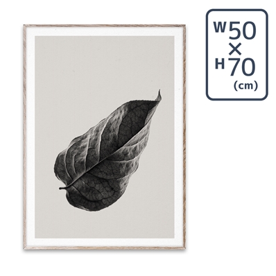 【メーカー取り寄せ】〔PAPER COLLECTIVE〕 ポスターSabi Leaf 01 (50×70)