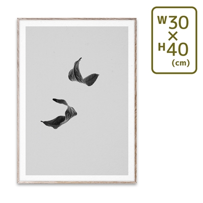 【メーカー取り寄せ】〔PAPER COLLECTIVE〕 ポスターSabi Leaf 02 (30×40)
