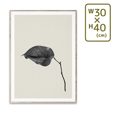 〔PAPER COLLECTIVE〕 ポスターSabi Leaf 03 (30×40)